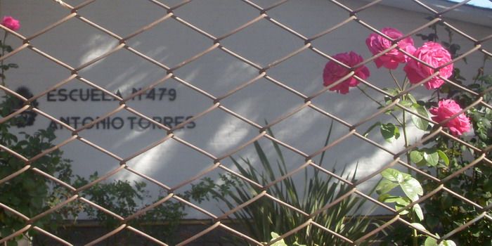 Escuela Antonio Torres - Tunuyán - NOTA