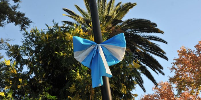 PM 23-05-2012 ESCARAPELAS LOCALES JPG_0621