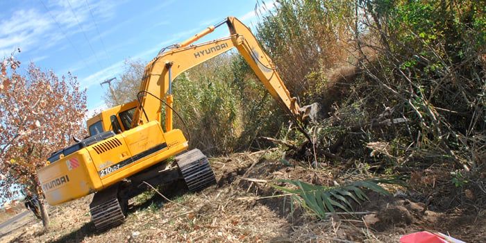 MG 05-06-2012 IRRIGACION LIMPIEZA CAUCE CANAL _DSC8683