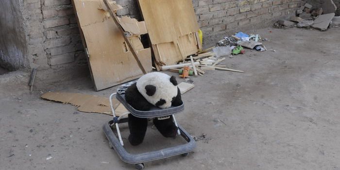 Mario De La Guarda allanamiento barrio Grosso - nota12