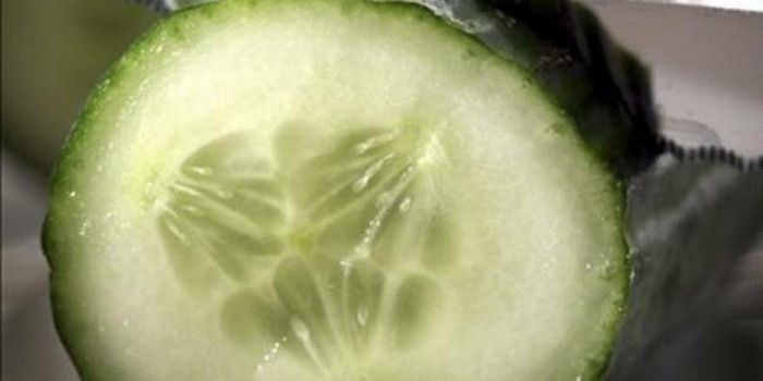 Pepino con microbios N