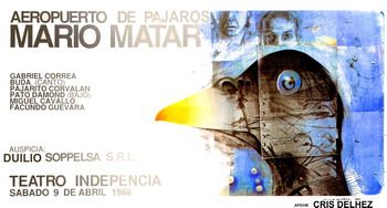 Afiche aeropuerto pájaros mario matarjpg
