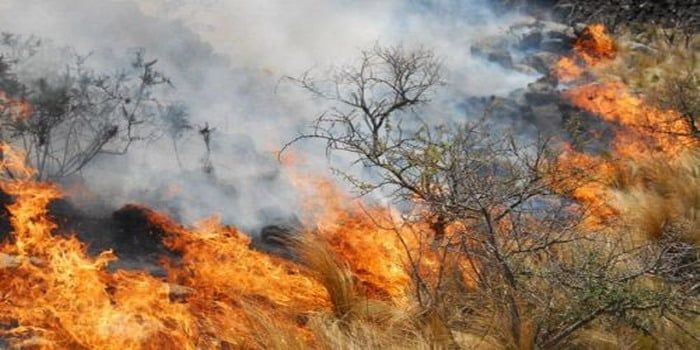 Incendio forestal Cordoba monte N