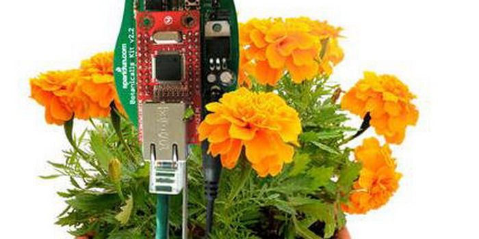 Planta que tuitea con sistema arduino N