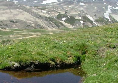 Cerro campanario pehuenche p1