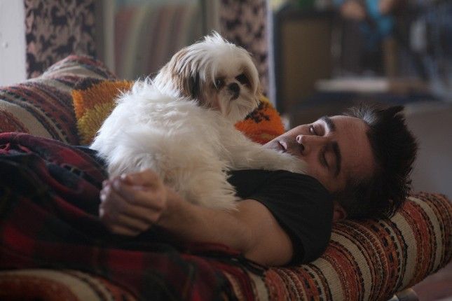 Siete psicopatas-perro-colin-farrell-645x430