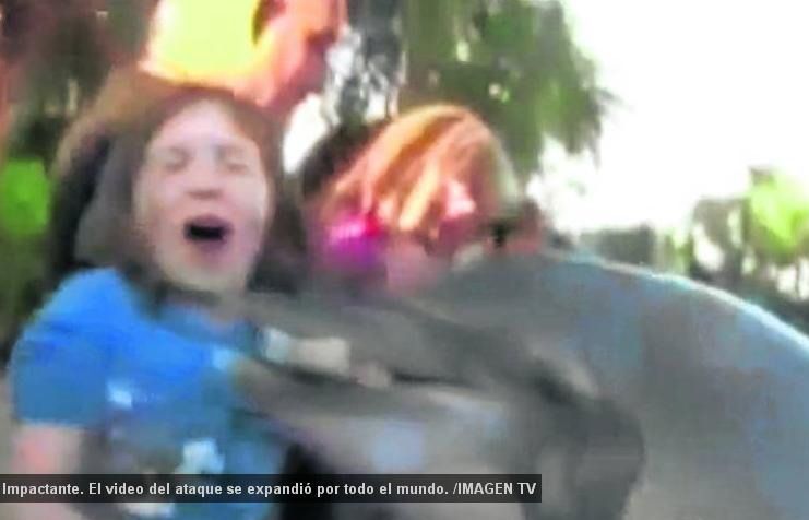 Delfin muerde nena interior