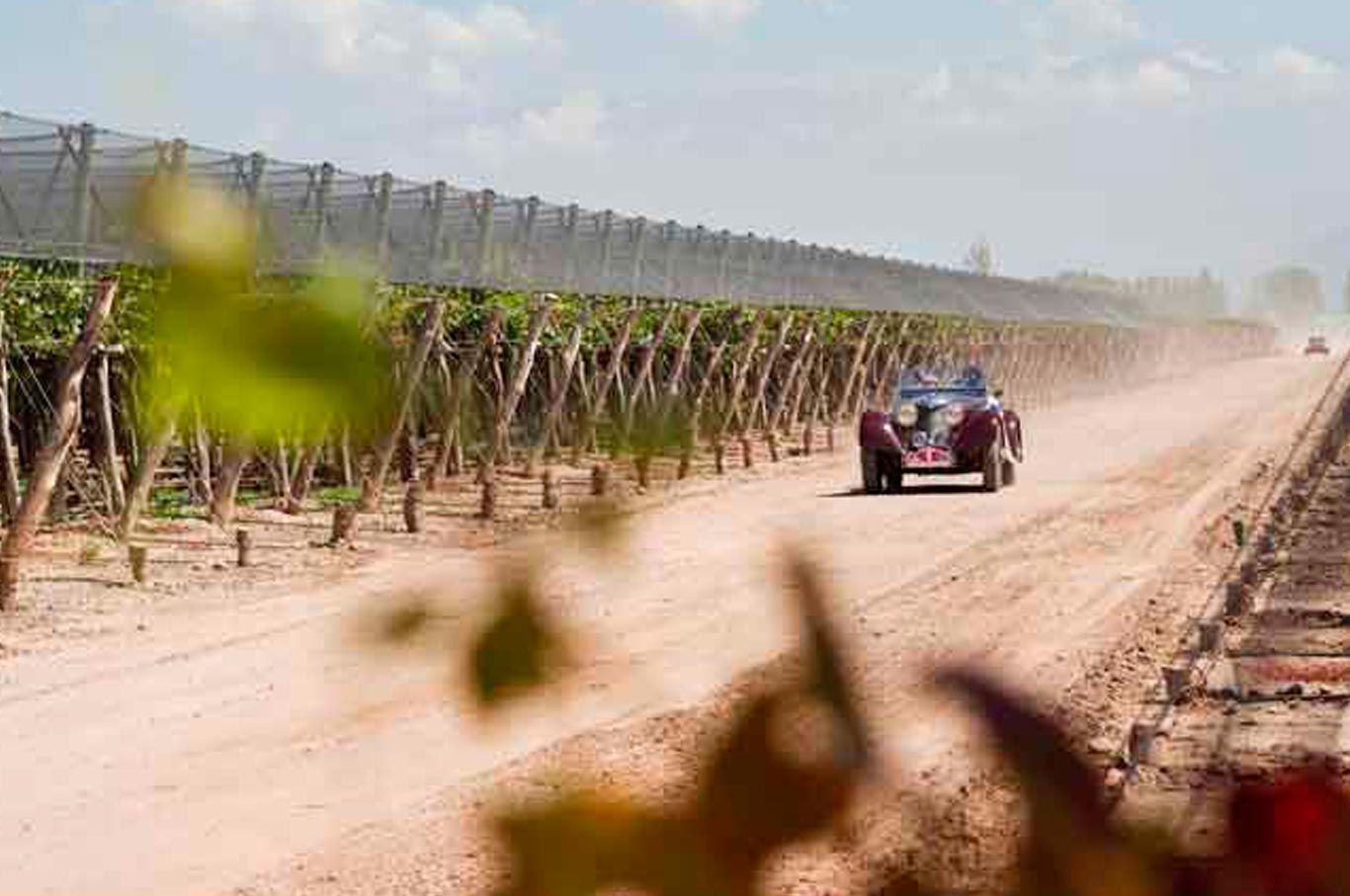 Rally bodegas