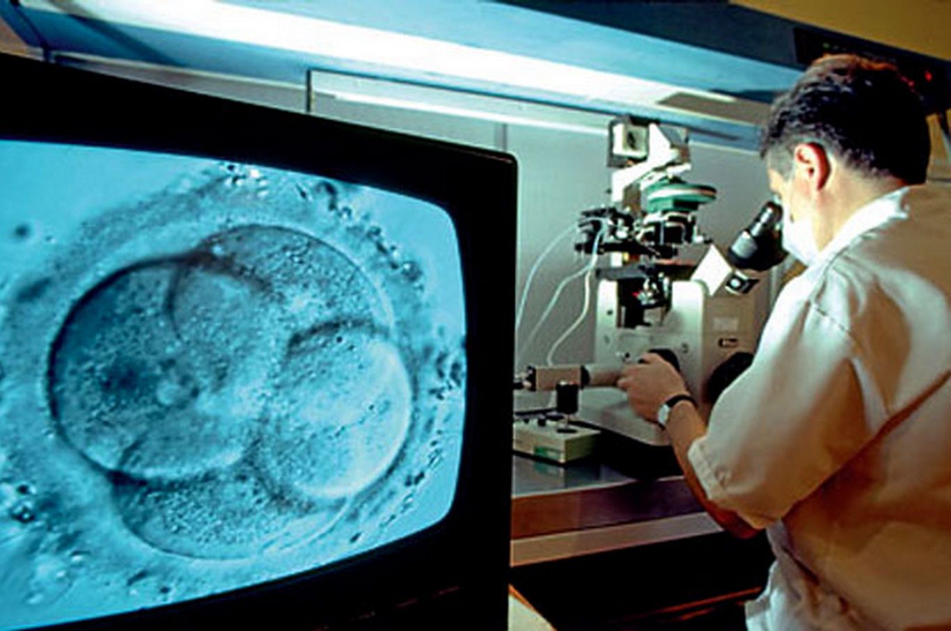 Fertilizacion asistida-elperiodico.com.ar