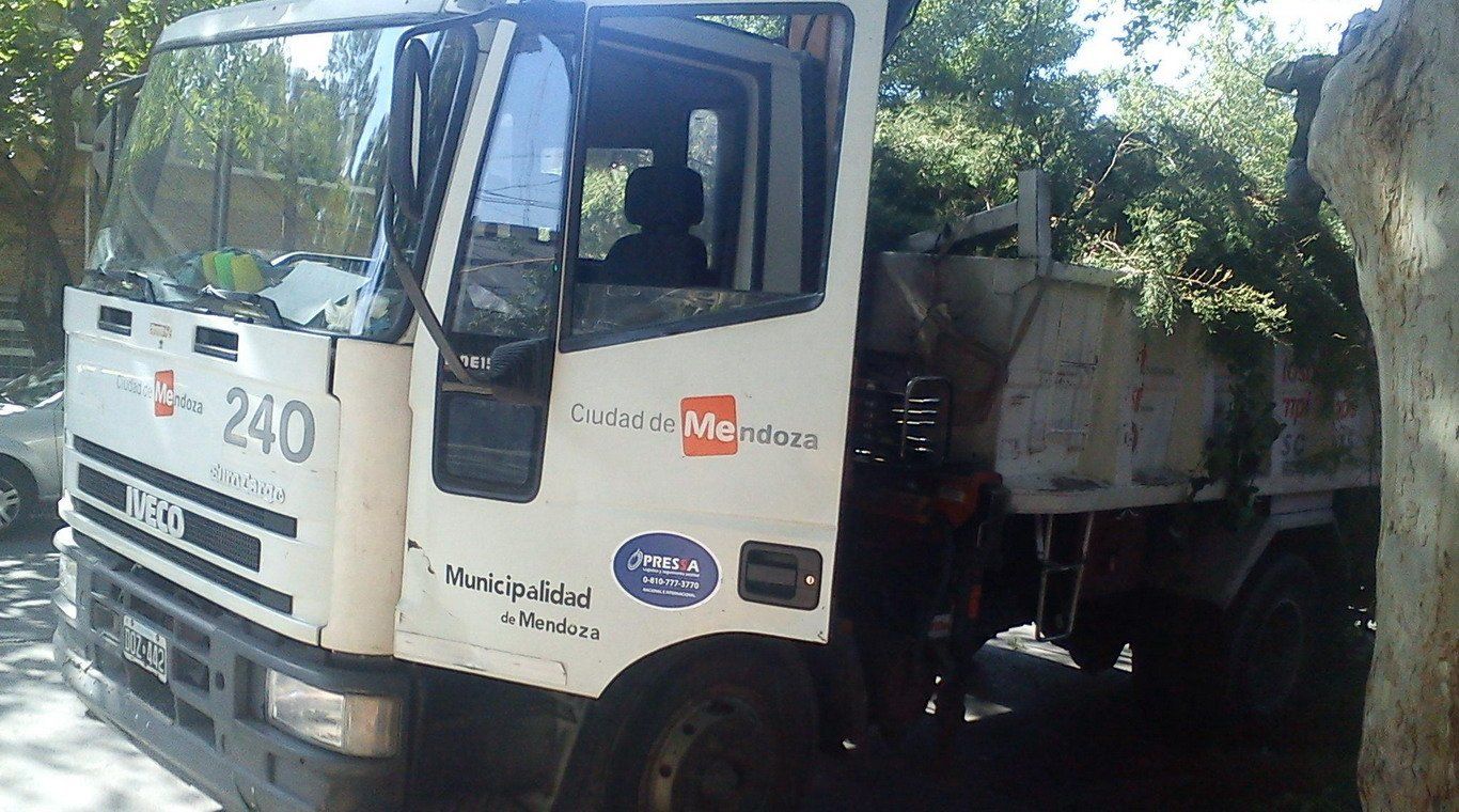 Camion municipalidad capital poda de árboles limpiezas new
