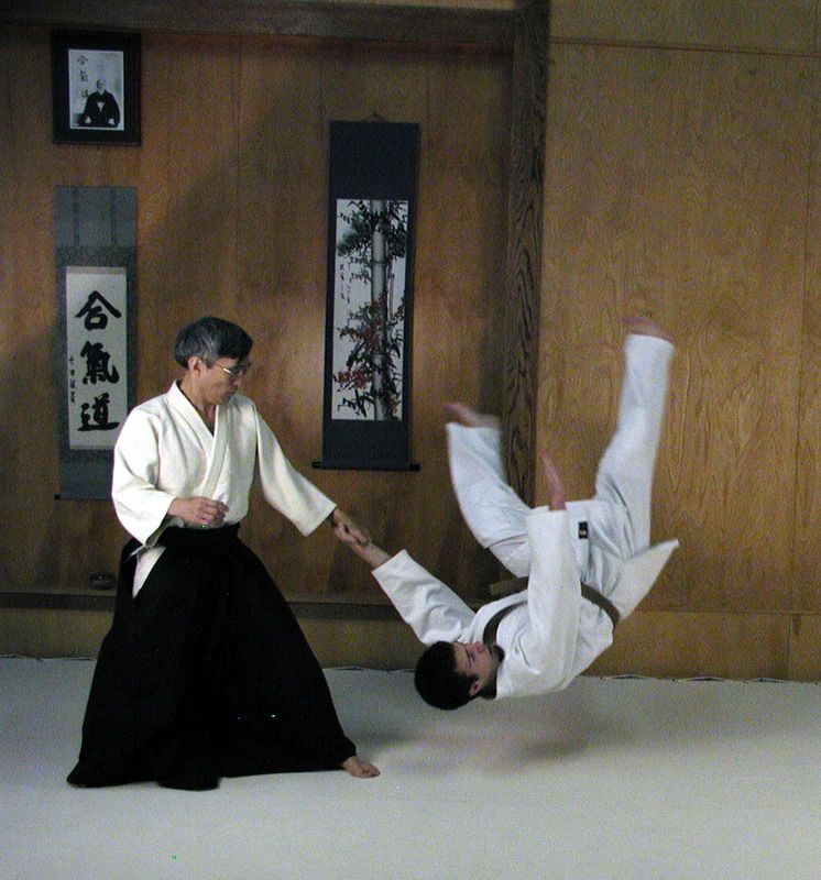 Aikido deporte