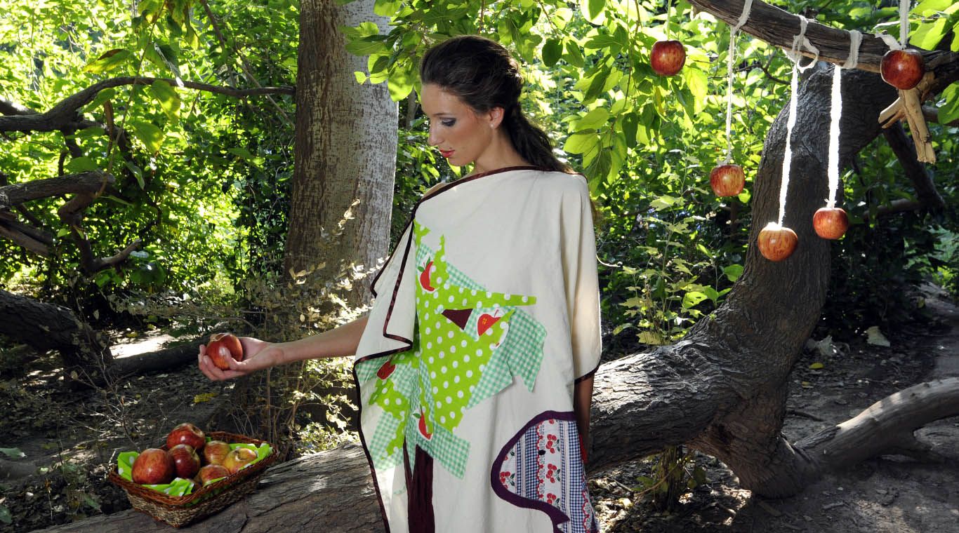 Reina Tunuyan 2013 Produccion 10