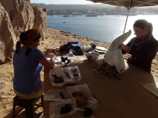 historia, arqueología, Egipto