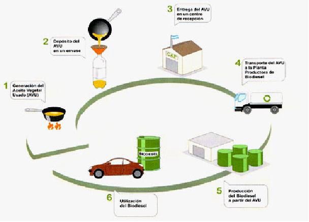 Aceite vegetal usado interior