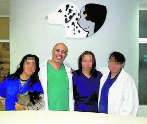 Veterinario descuartizador