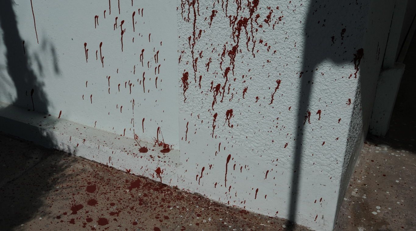 Pintadas en casa de Canito Frías 3