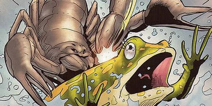 Escorpión y la rana nota