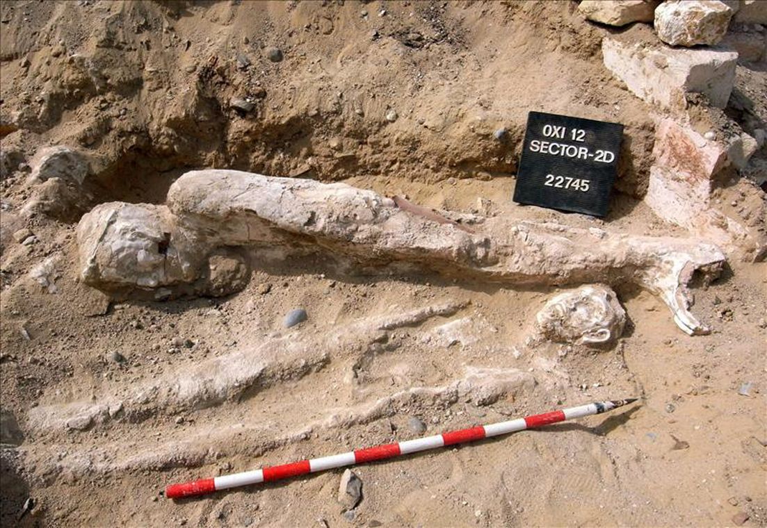 historia, arqueología, Egipto