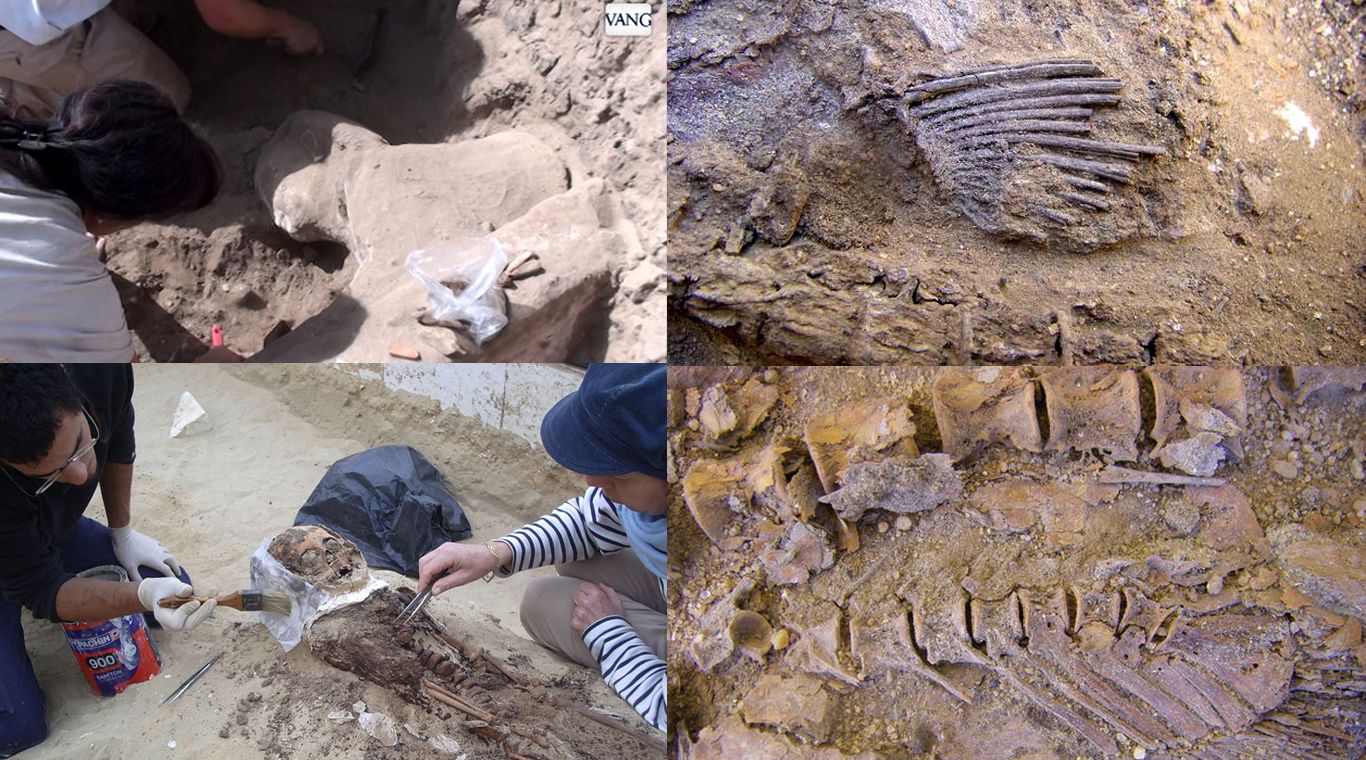 historia, arqueología, Egipto