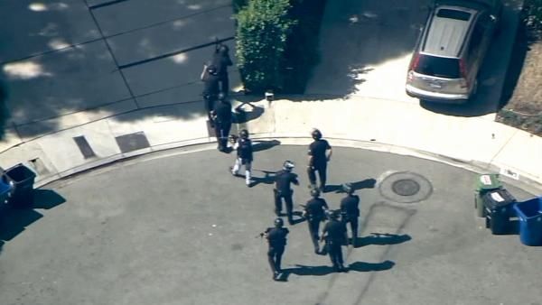 Swatting