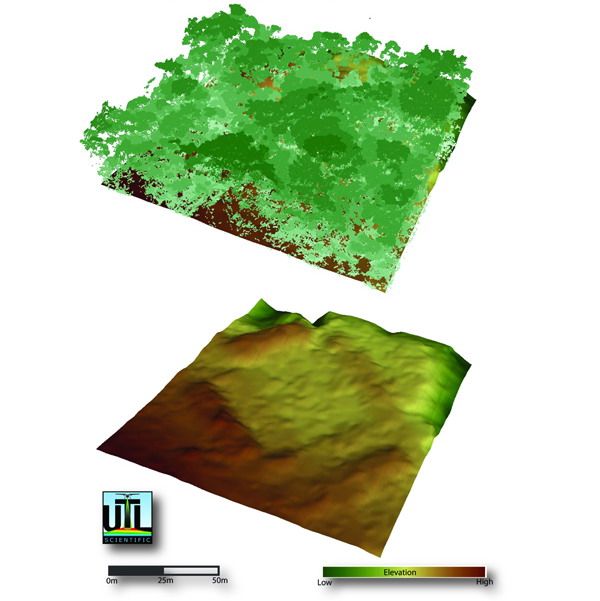 historia, arqueología, mayas