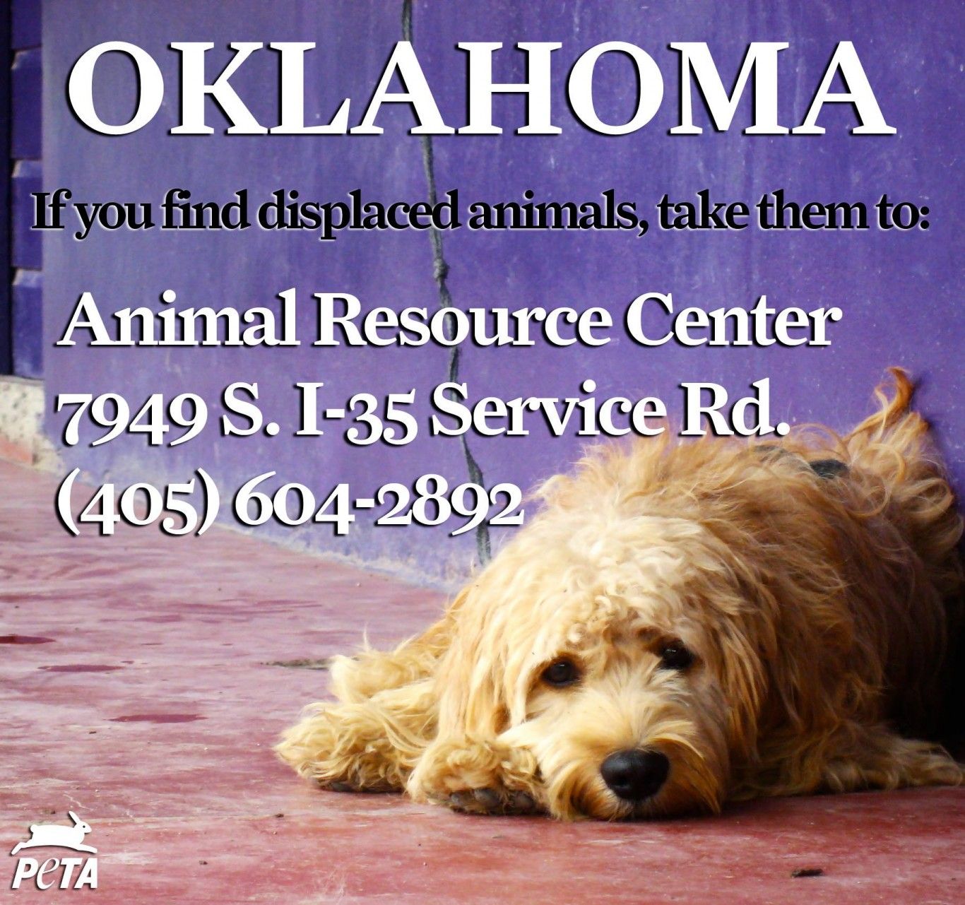 mascotas Oklahoma