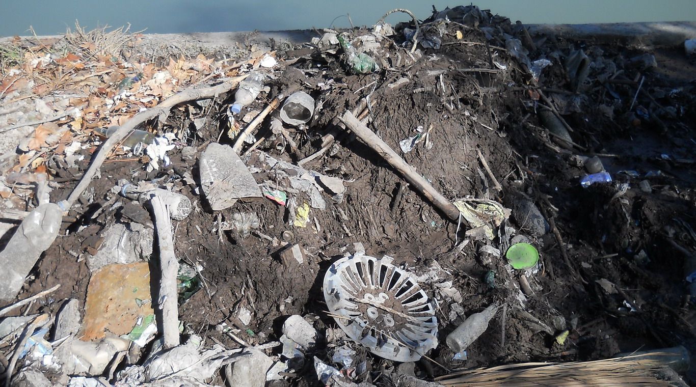 Lago del parque limpieza general