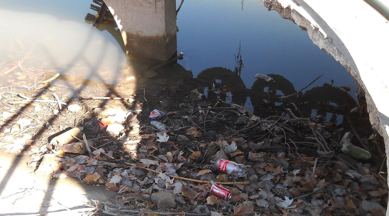 Lago del parque limpieza general 6