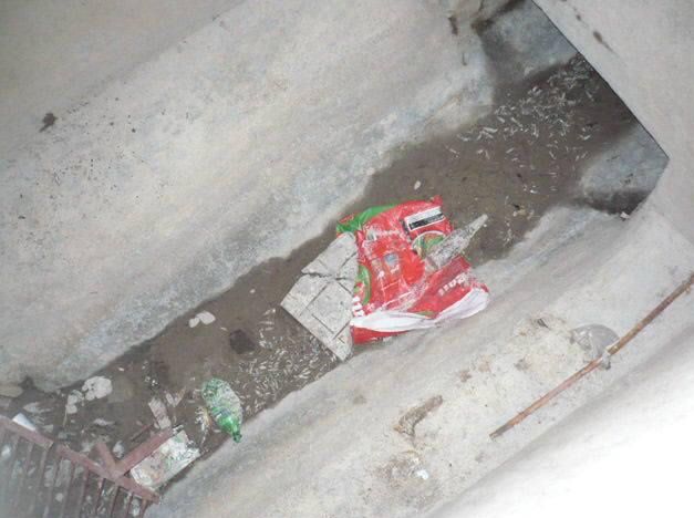 Peces muertos lago del parque acequia interior