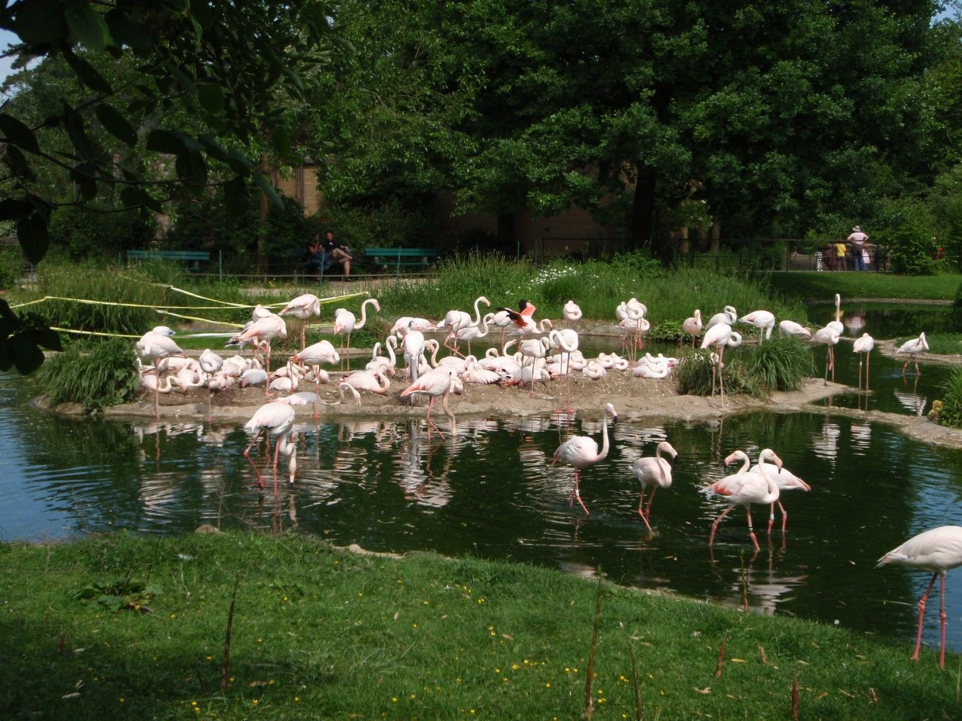 Zoo Basel