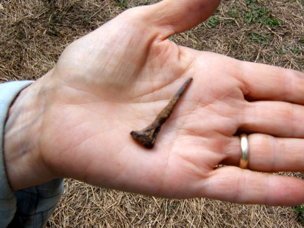 historia, arqueología, antropología, cultura