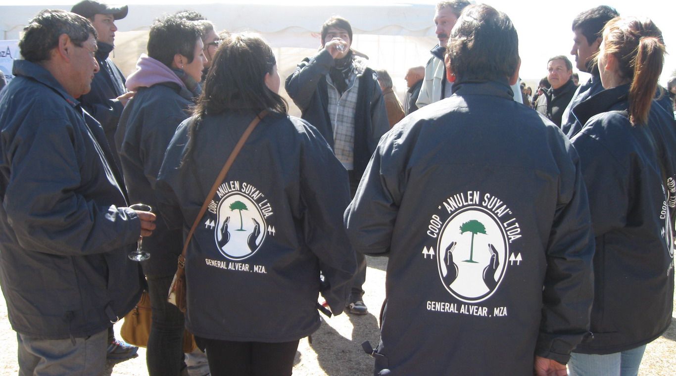 Cooperativa general alvear mew