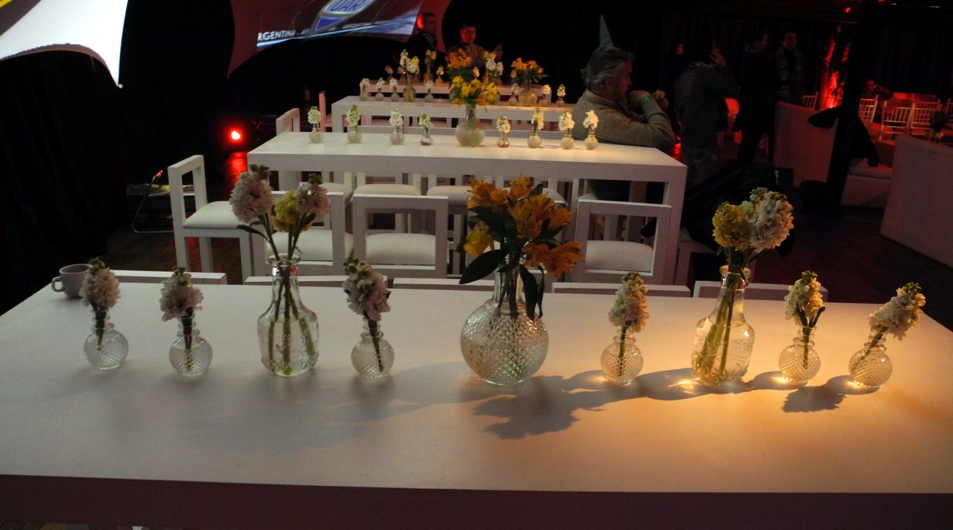 Los pumas sociales 35