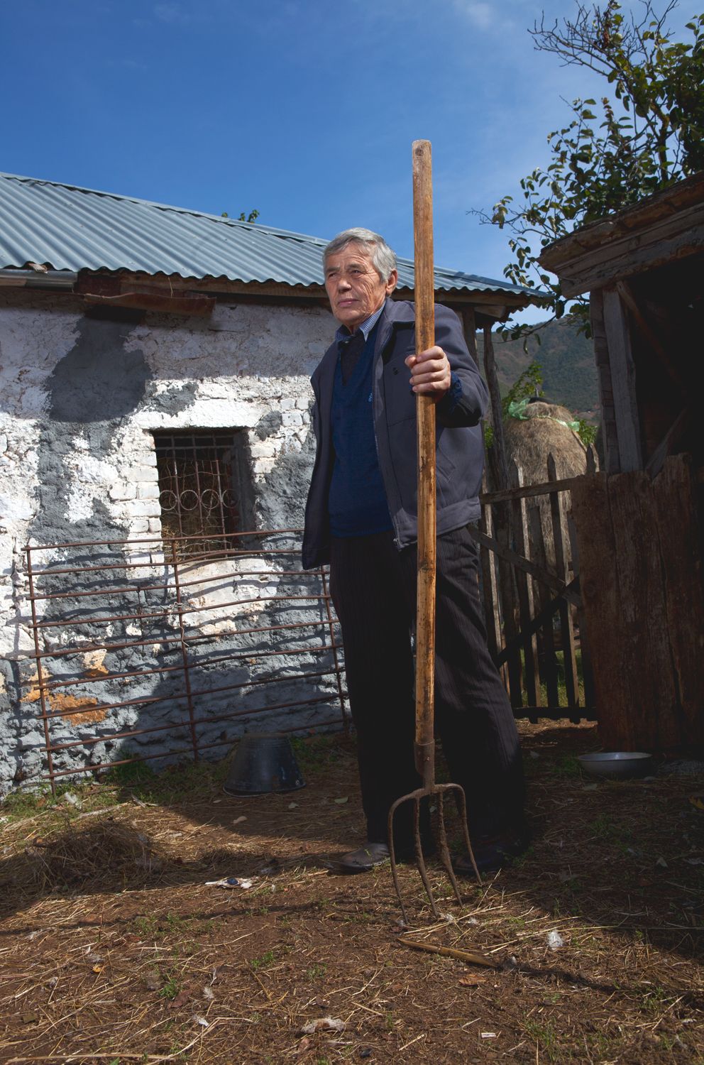 Albania mujeres hombres 4
