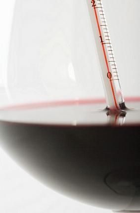 Temperatura vino