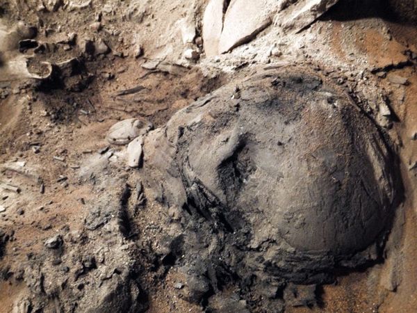 historia, arqueología, antropología, cultura, Egipto