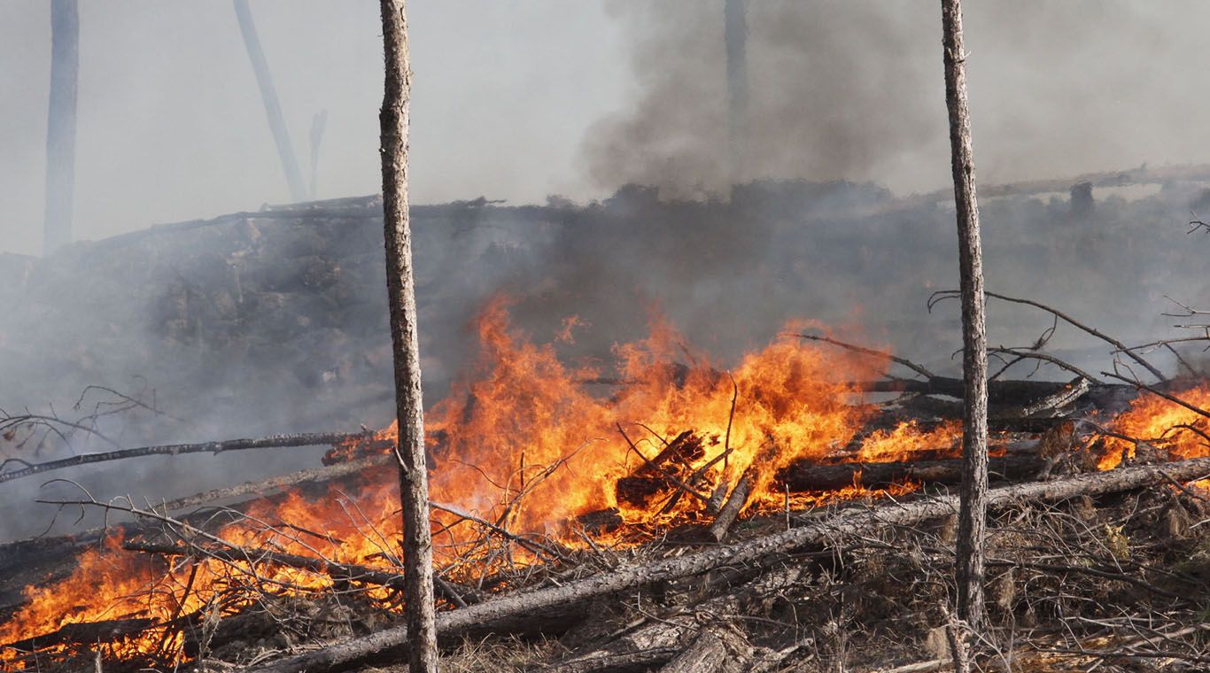 Incendios Cordoba 01