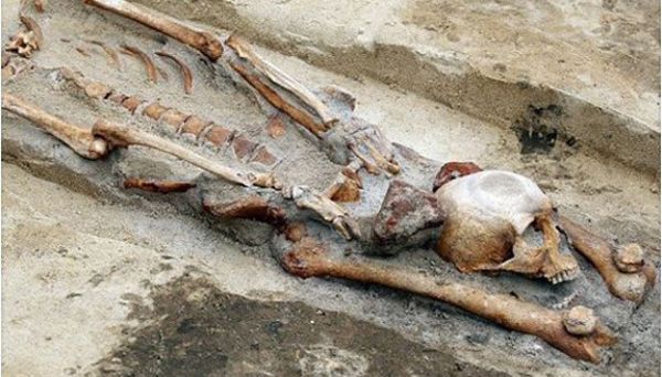 historia, arqueología, antropología, cultura