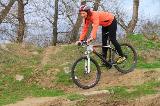 Shutterstock 133192820 500 px