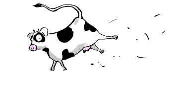 01 vaca