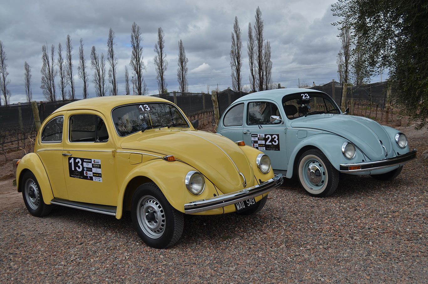 Clasicos y-sport-escarabajo-mdz