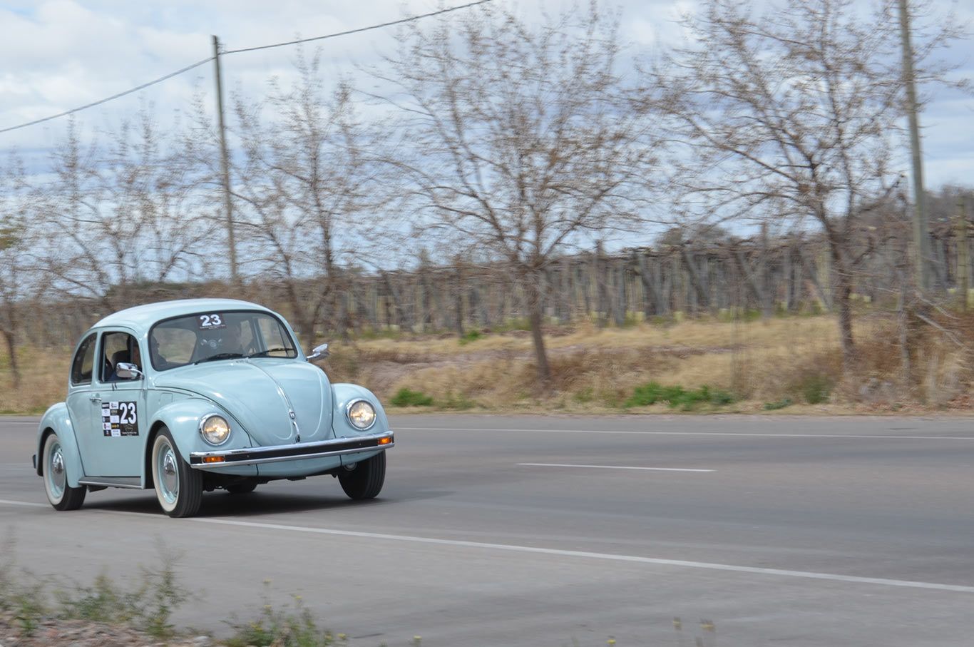 Clasicos y-sport-escarabajo-mdz1