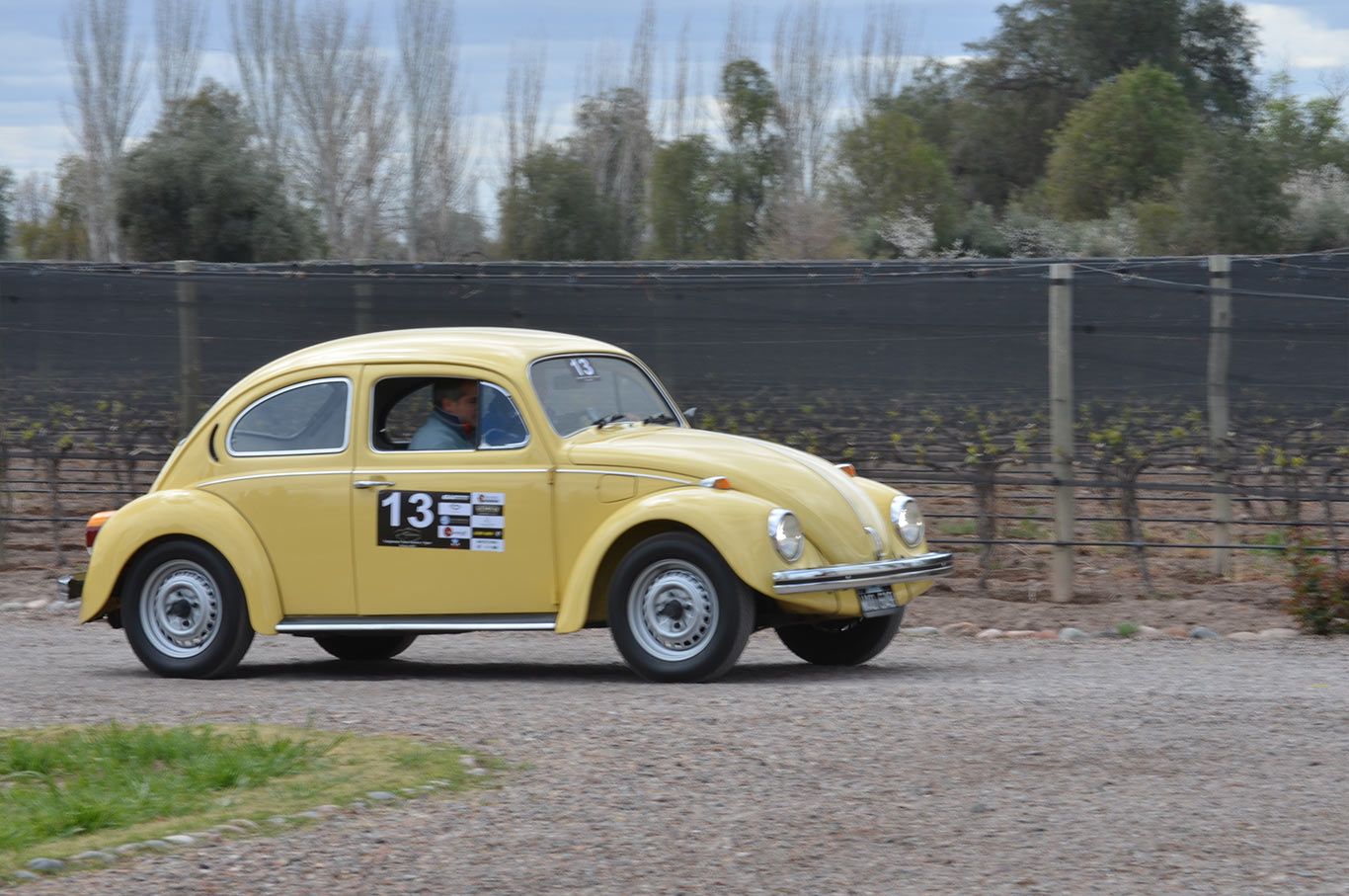 Clasicos y-sport-escarabajo-mdz2