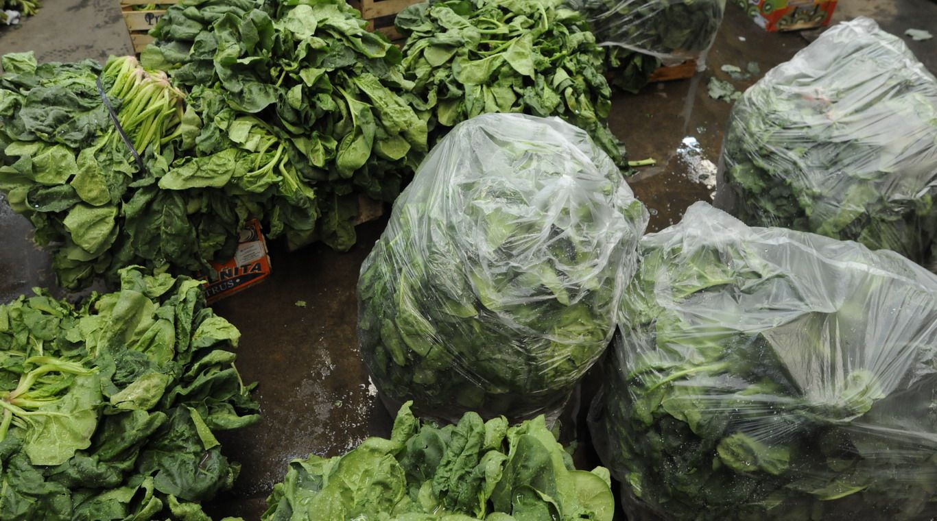 Verduras mercado cooperativo Godoy Cruz 4
