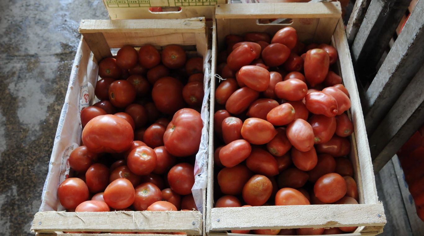 Verduras mercado cooperativo Godoy Cruz 14