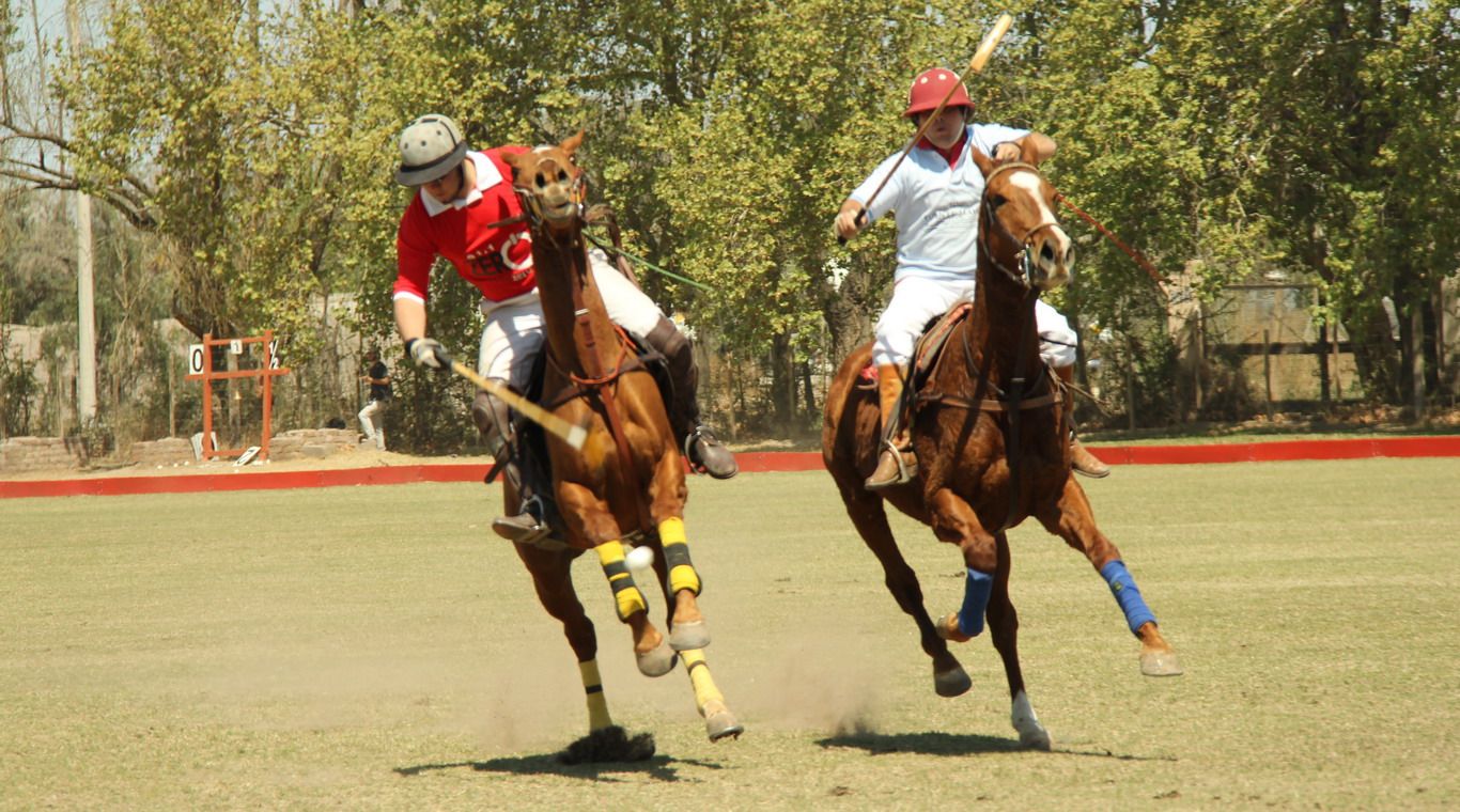 Polo Wines 16