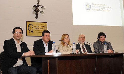 Gaston Menvielle_senado