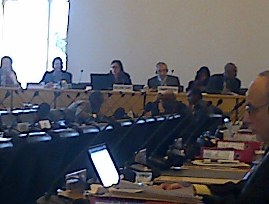 comité derechos humanos naciones unidas