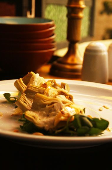 plato Florentino