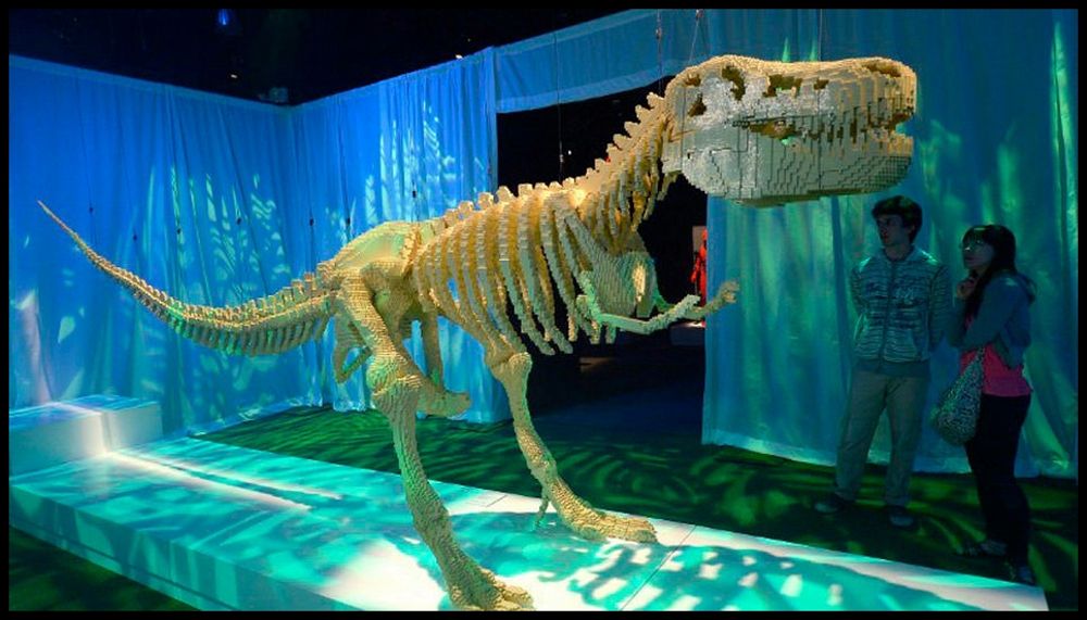 Nathan Sawaya Art Brick 5